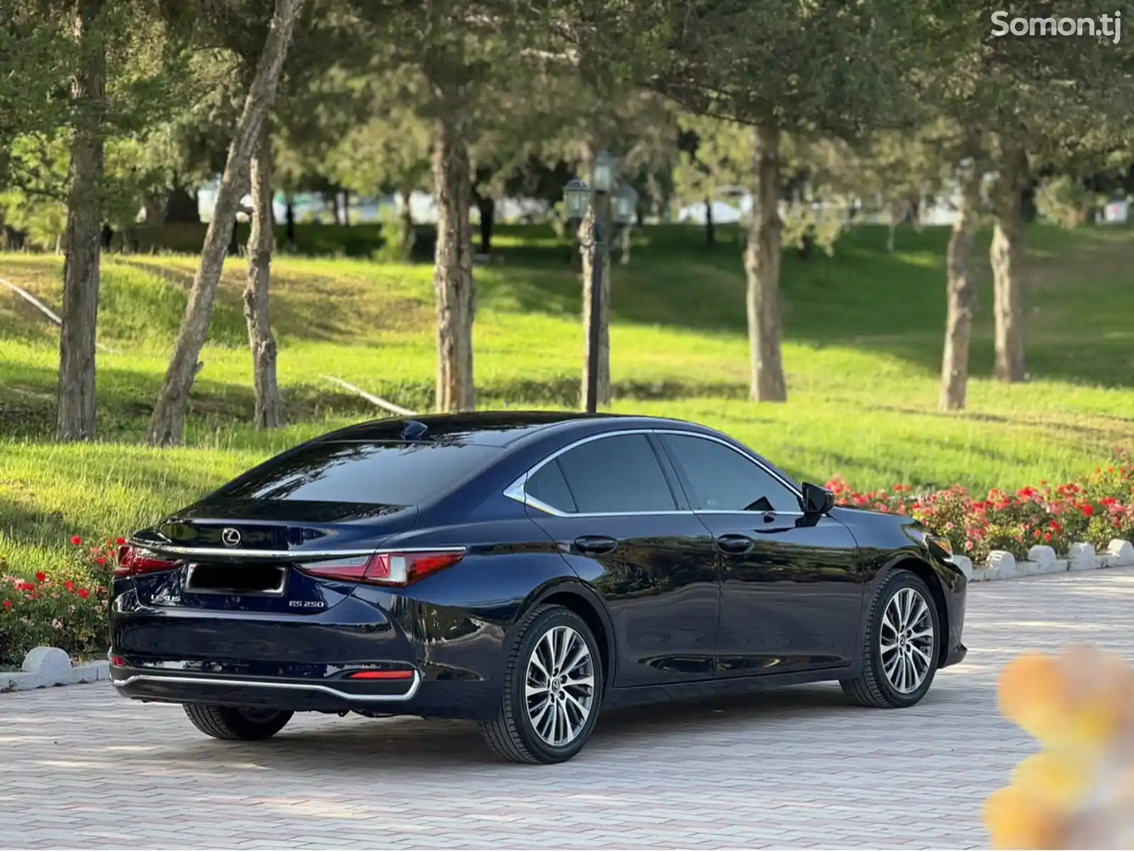 Lexus ES series, 2019-5