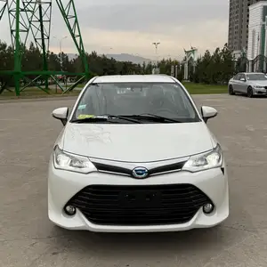 Toyota Axio, 2016