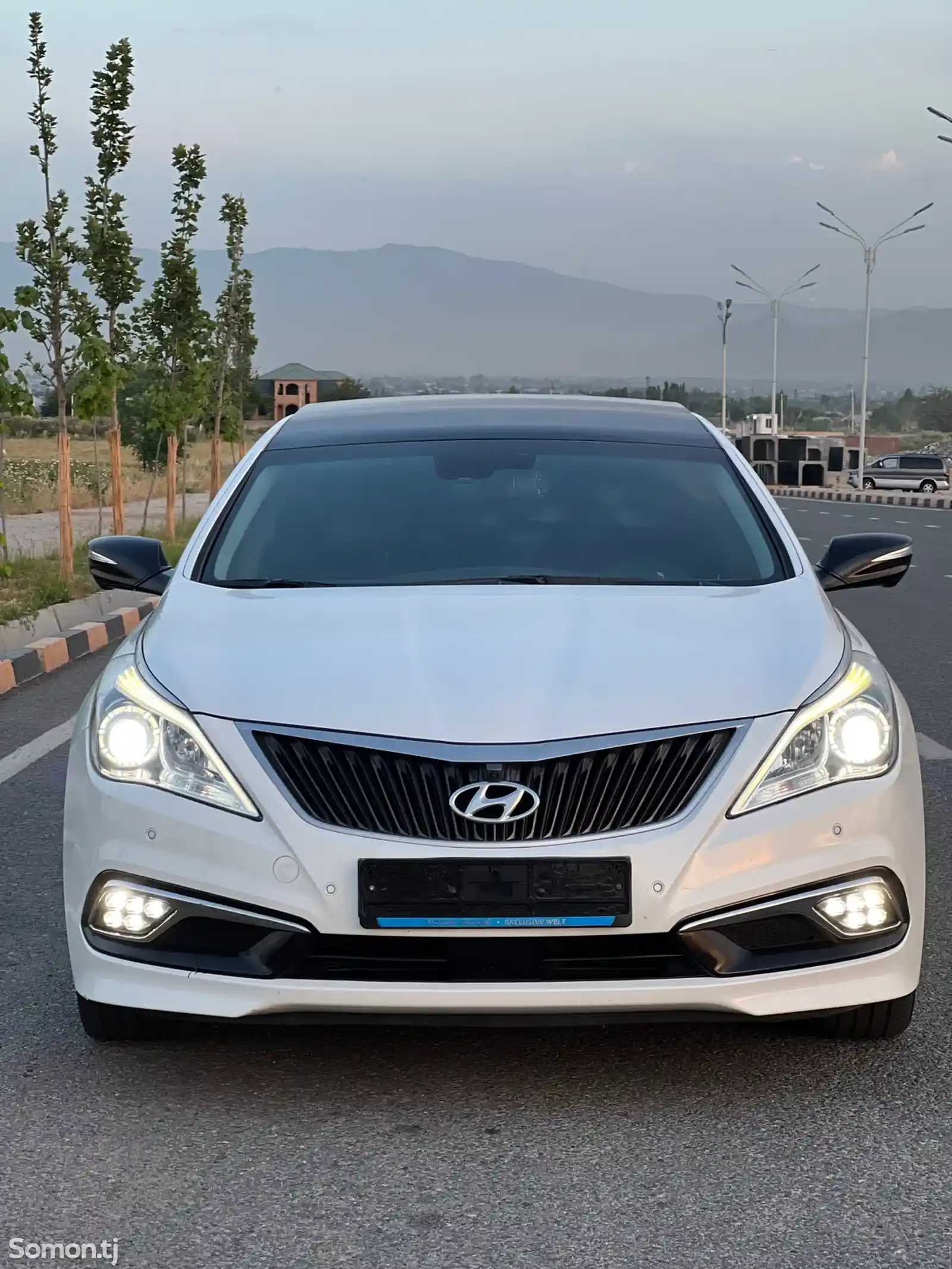 Hyundai Grandeur, 2012-3