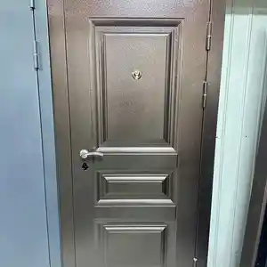 Двери входные