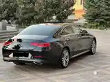 Mercedes-Benz CLS class, 2019-4