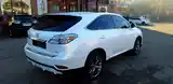 Lexus RX series, 2010-6