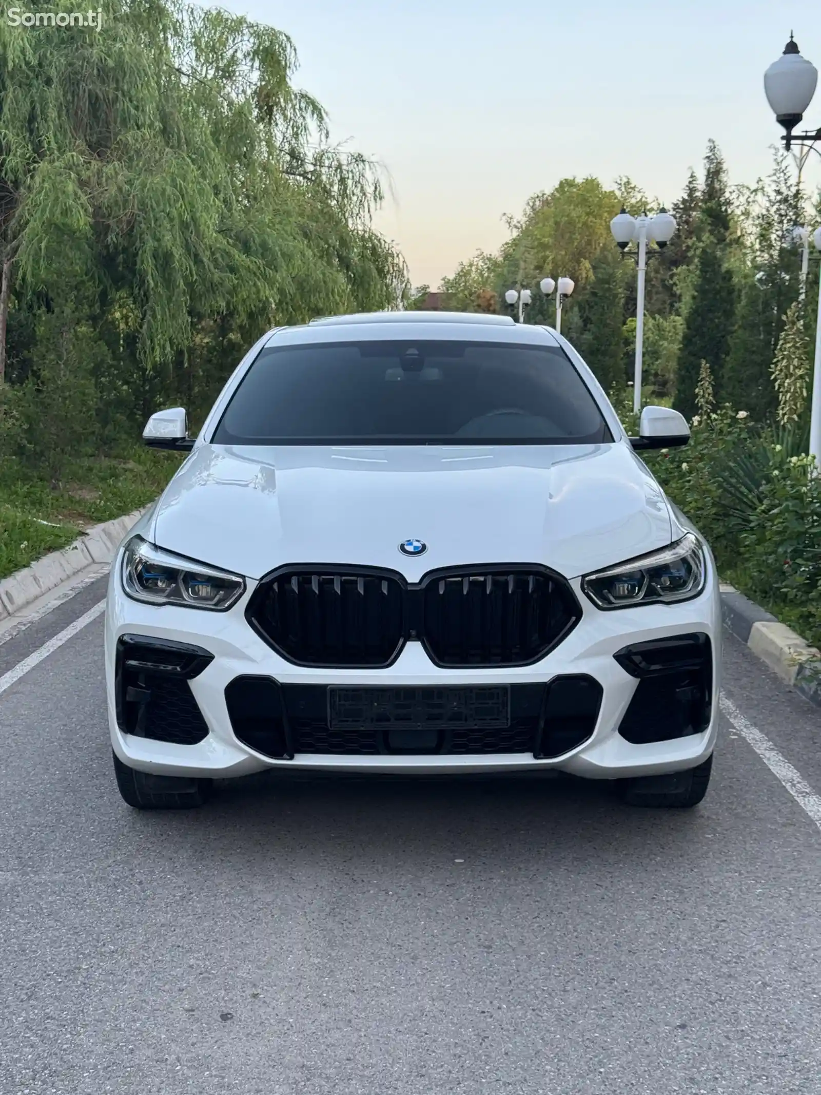 BMW X6, 2022-1