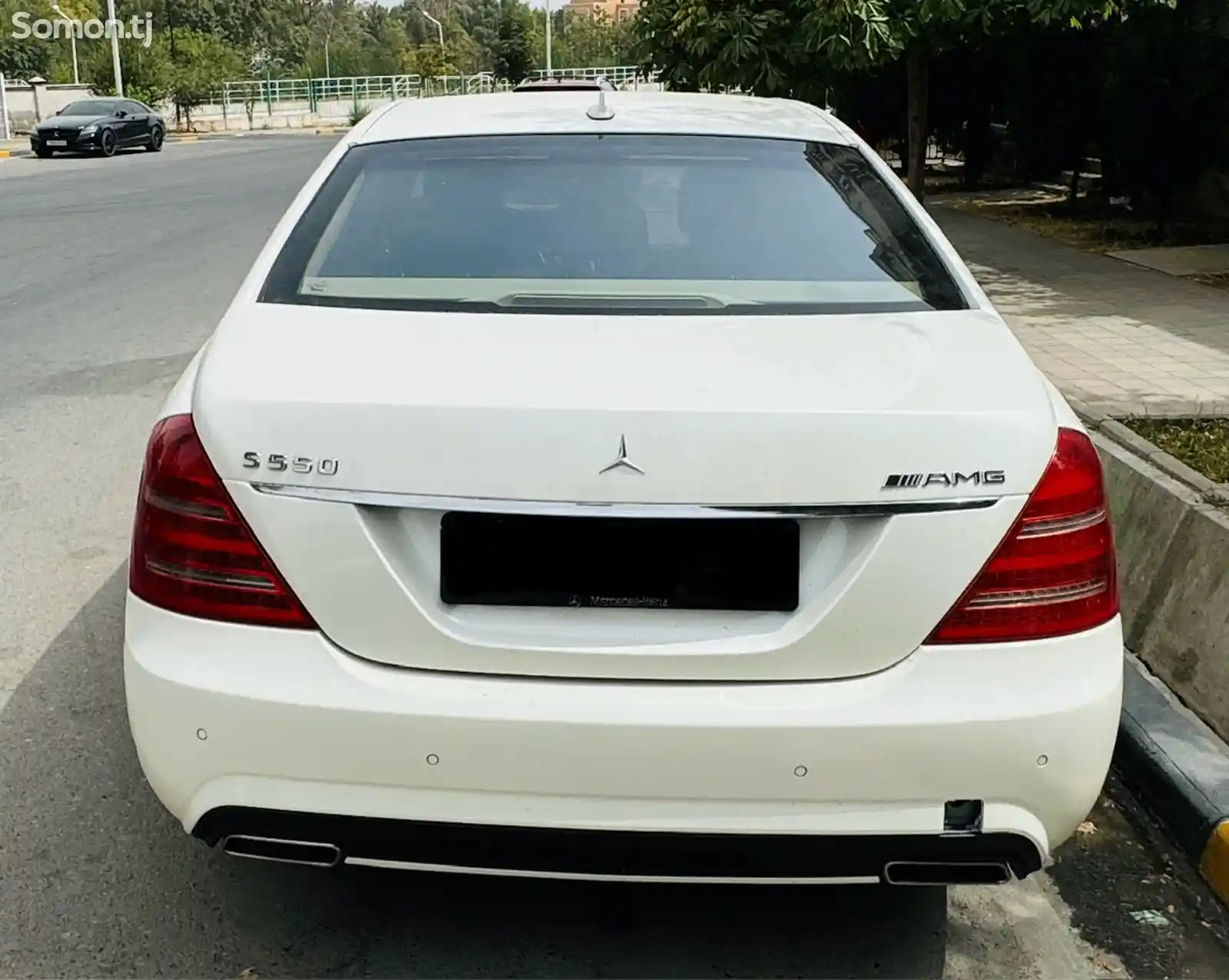 Mercedes-Benz S class, 2010-2