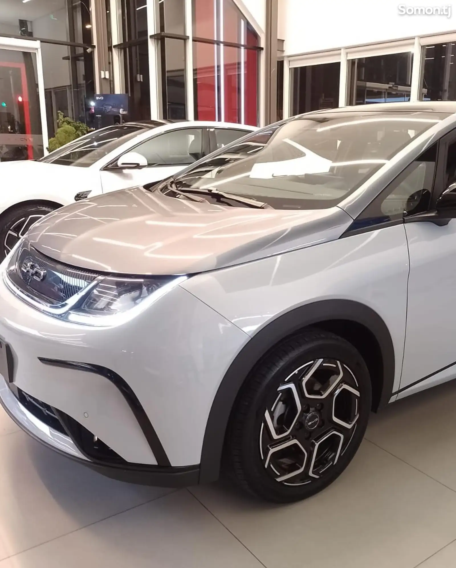 BYD Dolphin, 2024-3