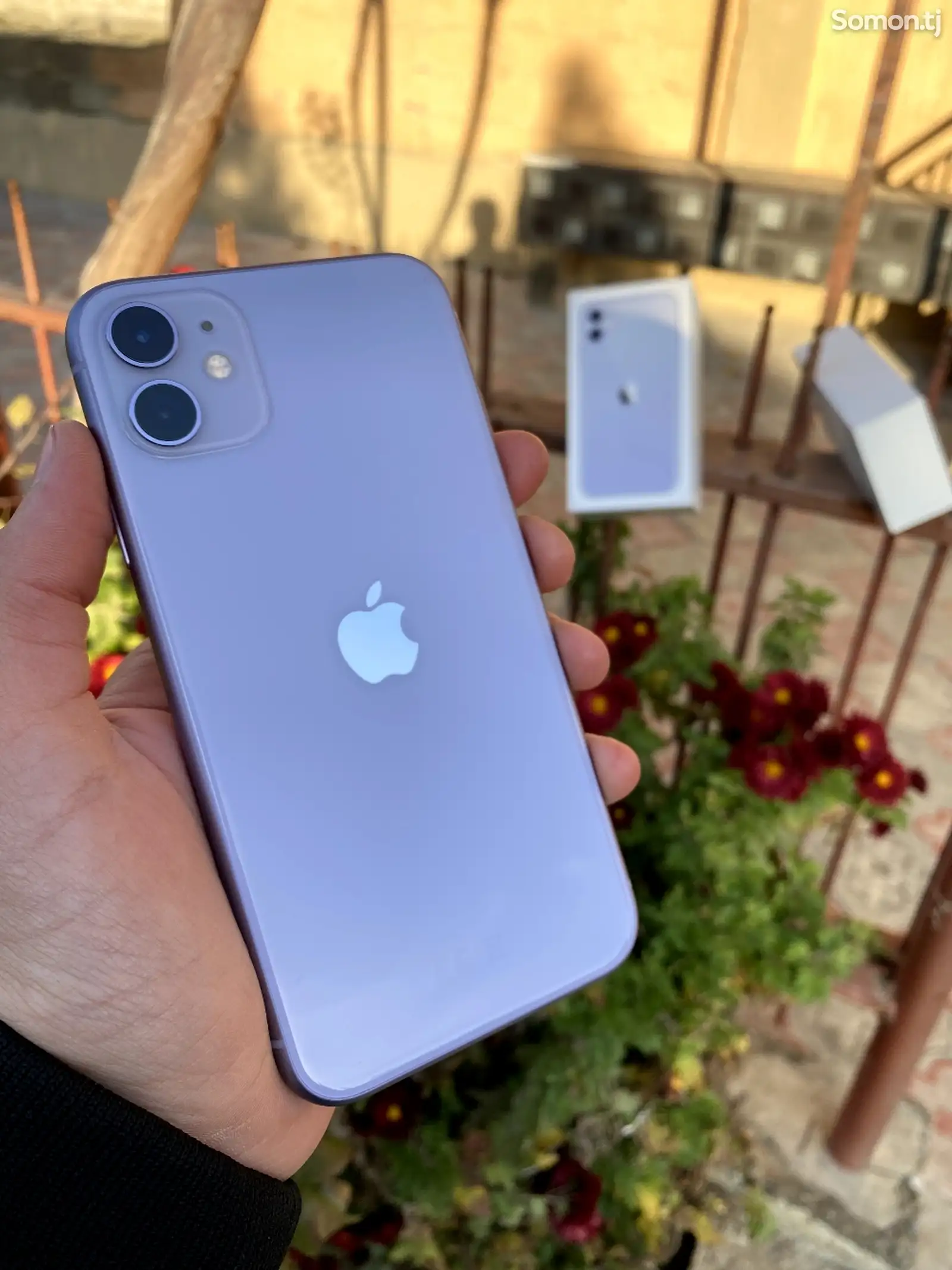 Apple iPhone 11, 64 gb, Purple-1