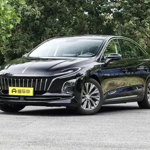 Hongqi E-QM5, 2024