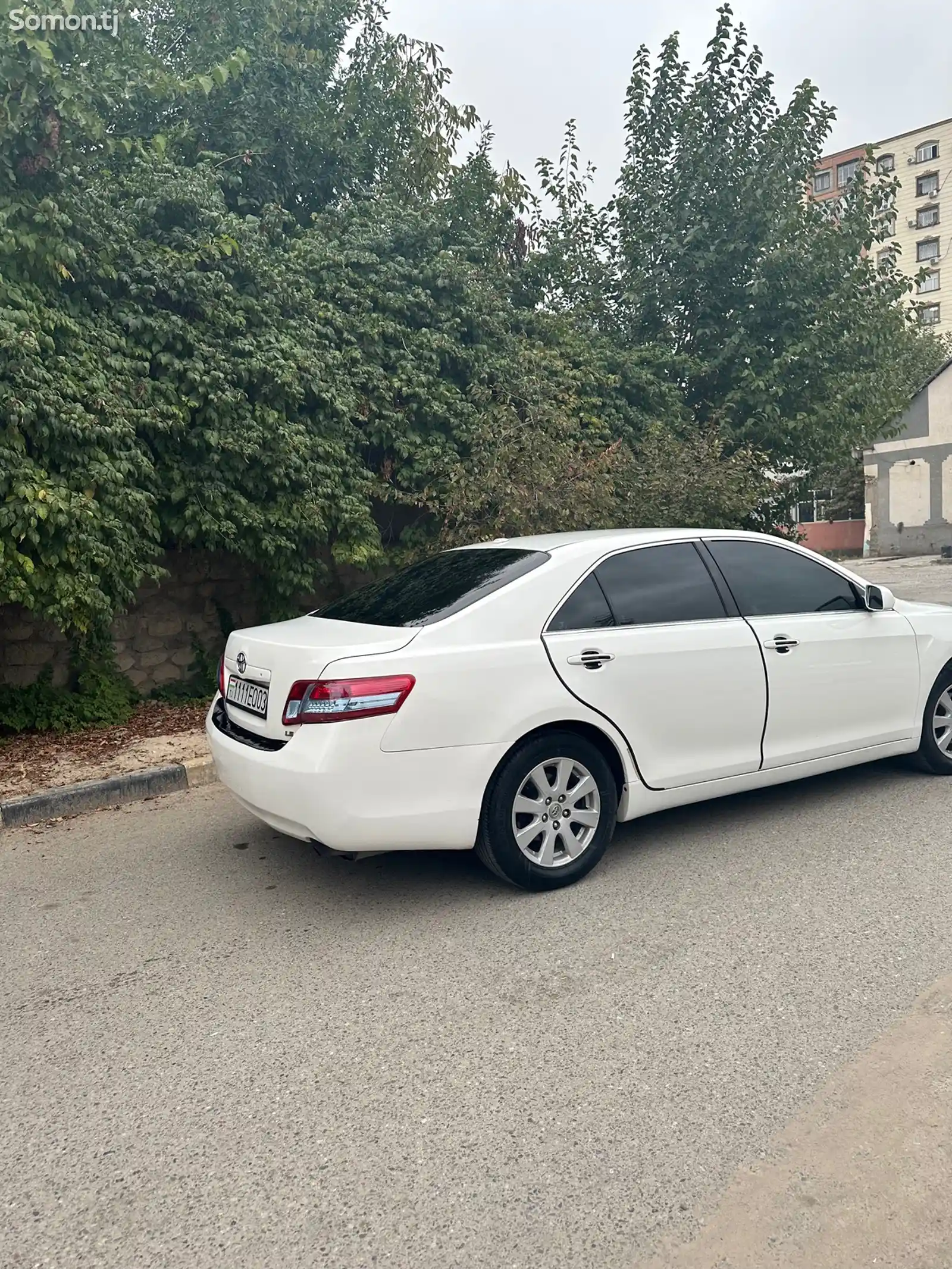 Toyota Camry, 2010-3