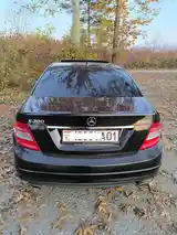 Mercedes-Benz C class, 2010-3