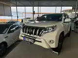 Toyota Land Cruiser Prado, 2015-6