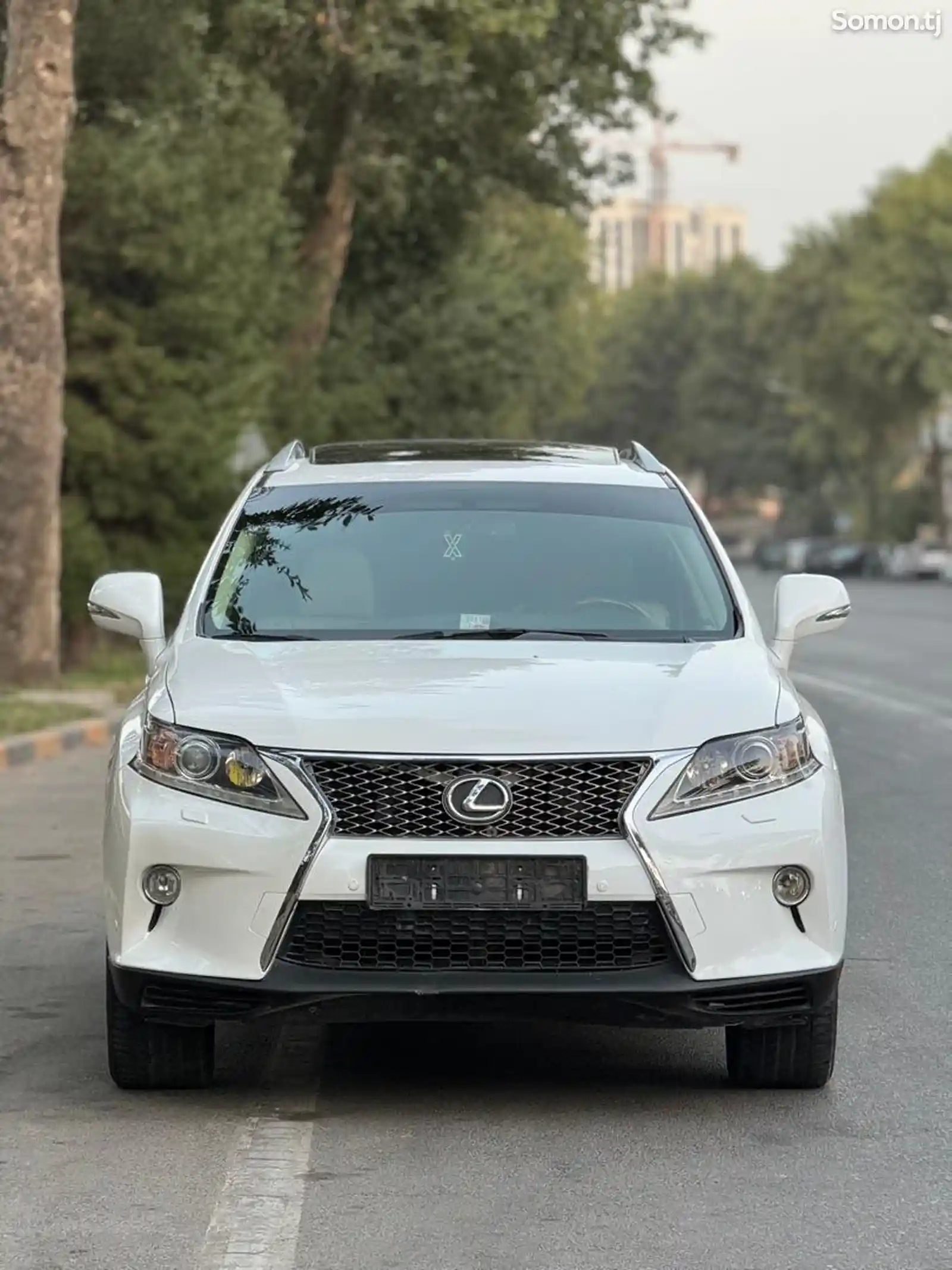 Lexus RX series, 2010-3