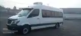 Пассажирский Mercedes-Benz Sprinter, 2009-3