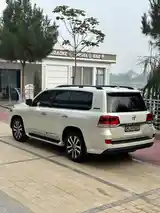 Toyota Land Cruiser, 2019-8