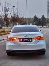 Toyota Camry, 2019-7