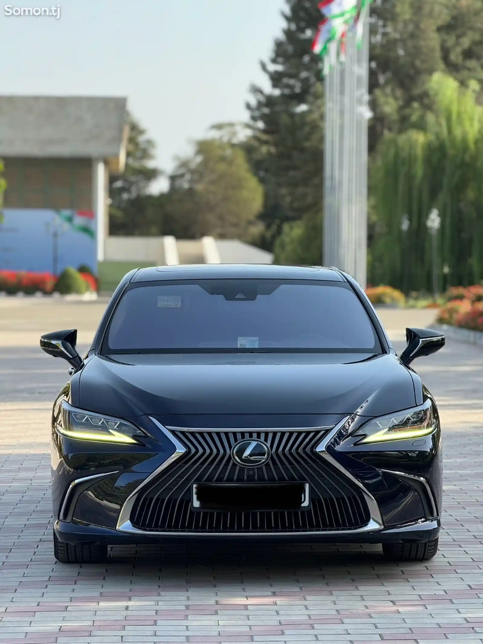 Lexus ES series, 2019-1