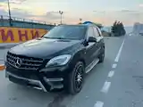 Mercedes-Benz ML class, 2014-6