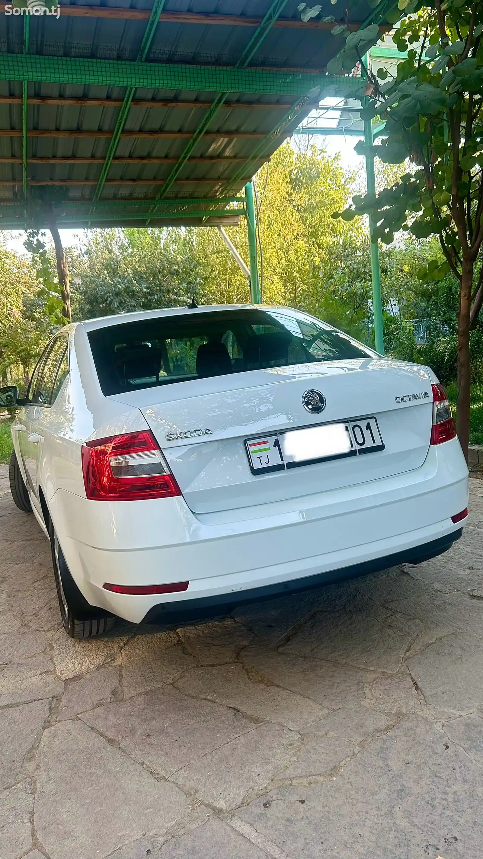 Skoda Octavia, 2019-4