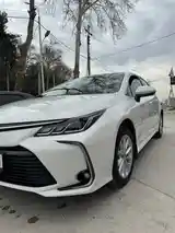 Toyota Corolla, 2021-5