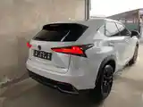 Lexus NX series, 2019-10