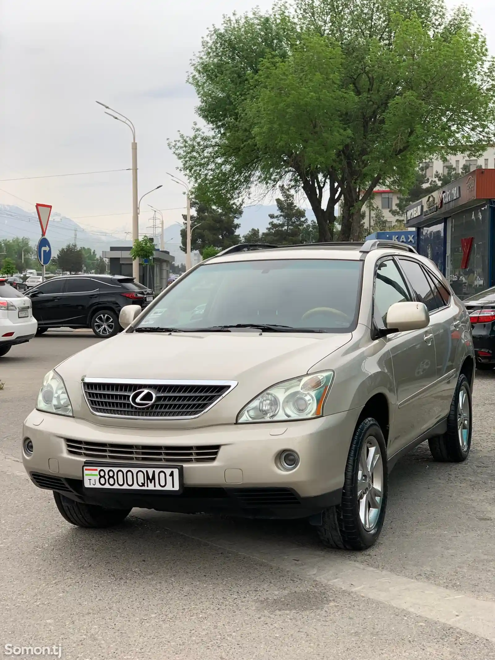 Lexus RX series, 2007-4