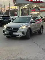 Hyundai Santa Fe, 2017-3