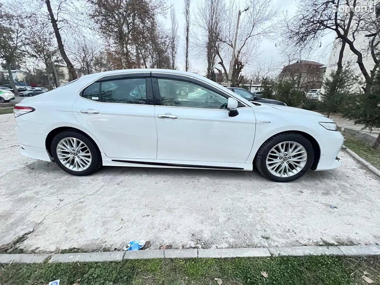 Toyota Camry, 2019-1