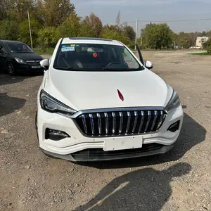 Hongqi E-HS3, 2019