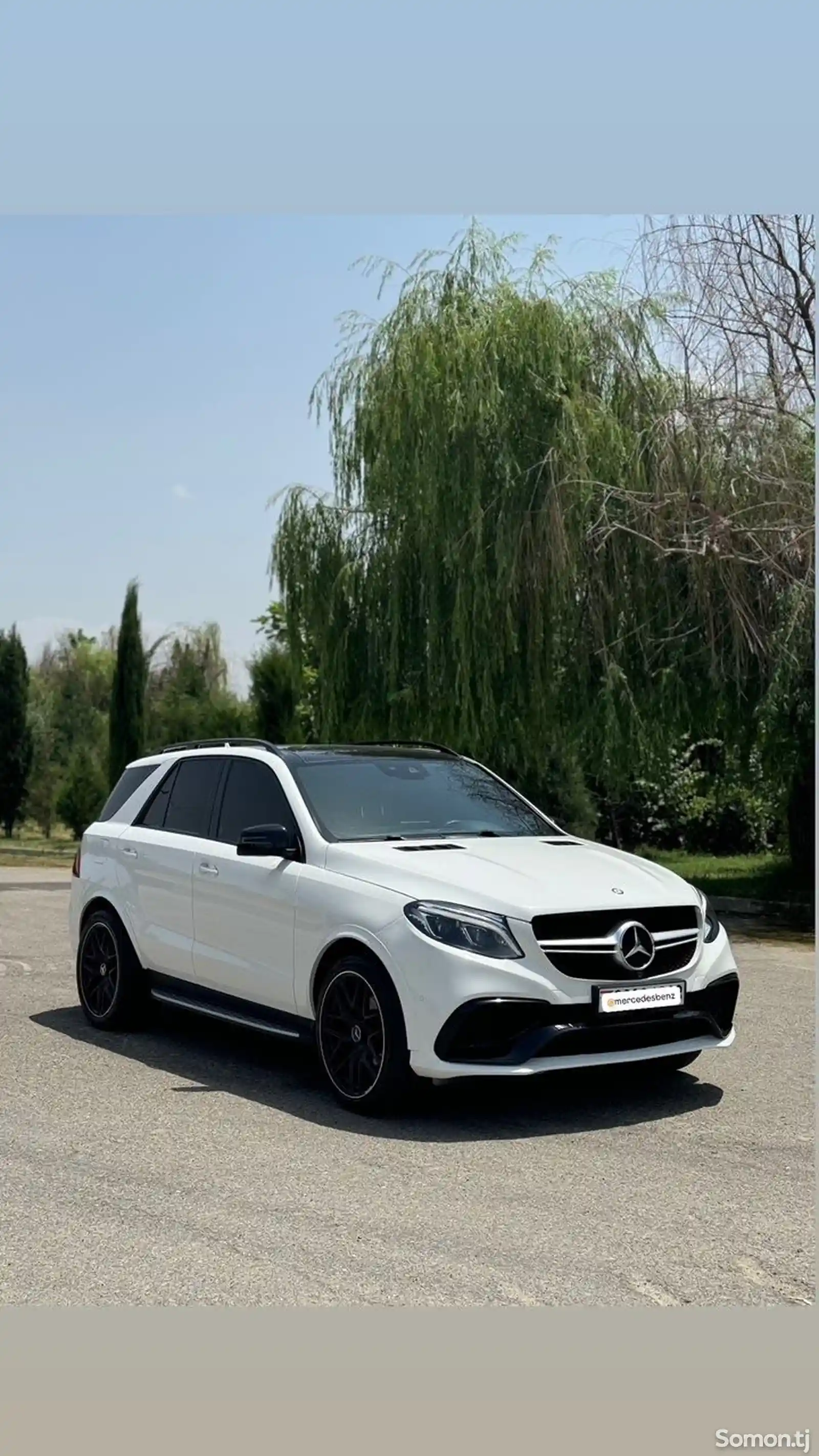 Mercedes-Benz GLE class, 2017-1