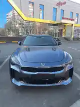 Kia Stinger, 2018-4