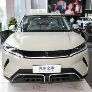 BYD Yuan Up, 2024