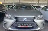 Lexus ES series, 2018-2