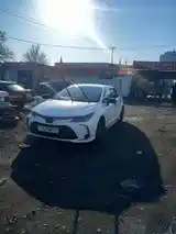 Toyota Corolla, 2019-4