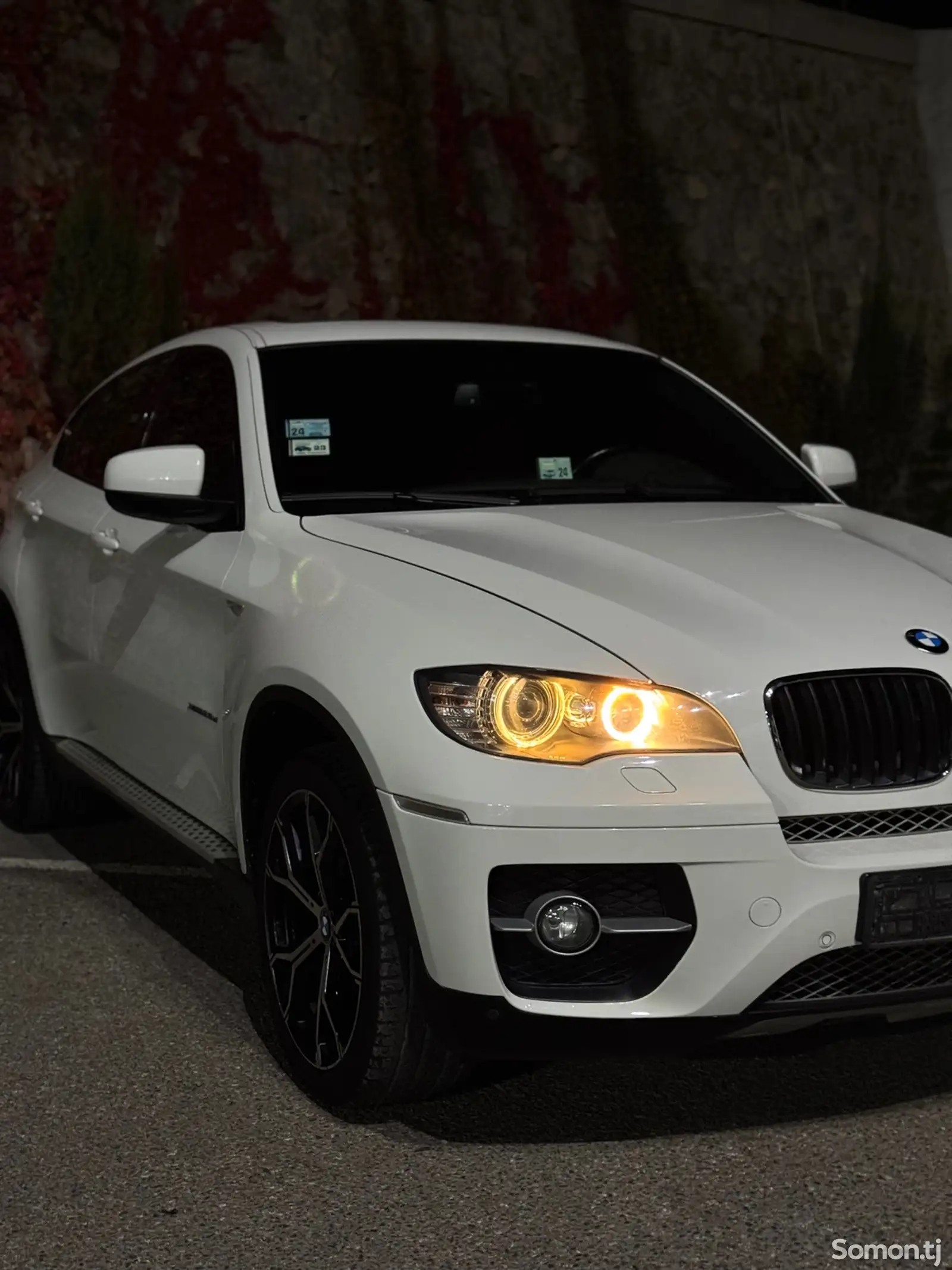 BMW X6, 2011-1