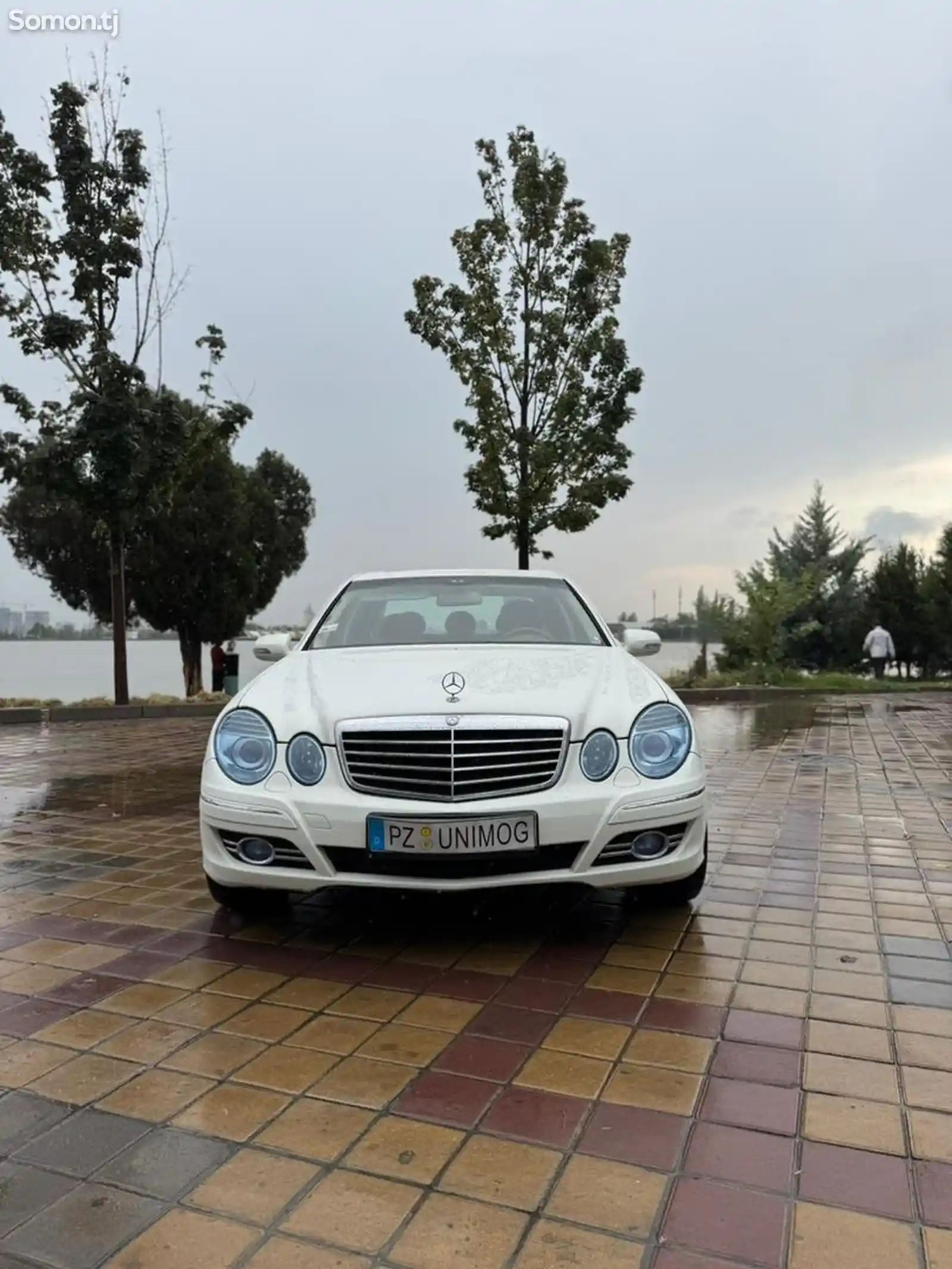 Mercedes-Benz E class, 2008-9