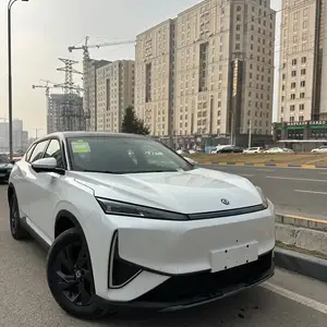 Dongfeng L7, 2025