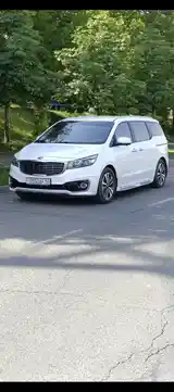 Kia Carnival, 2015-8