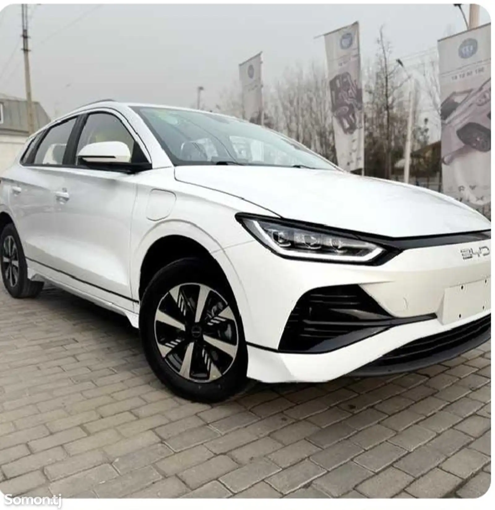 BYD B2, 2024