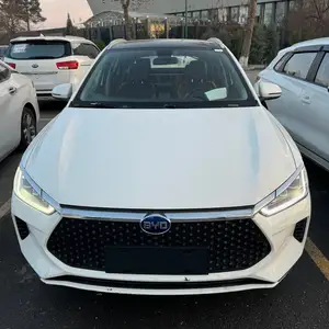 BYD E2, 2020