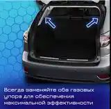 Амортизаторы капота и багажа от Toyota-2