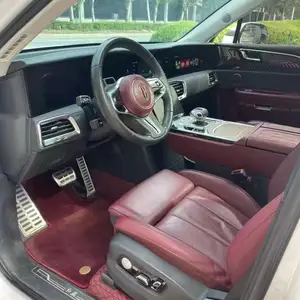 Hongqi E-HS9, 2024