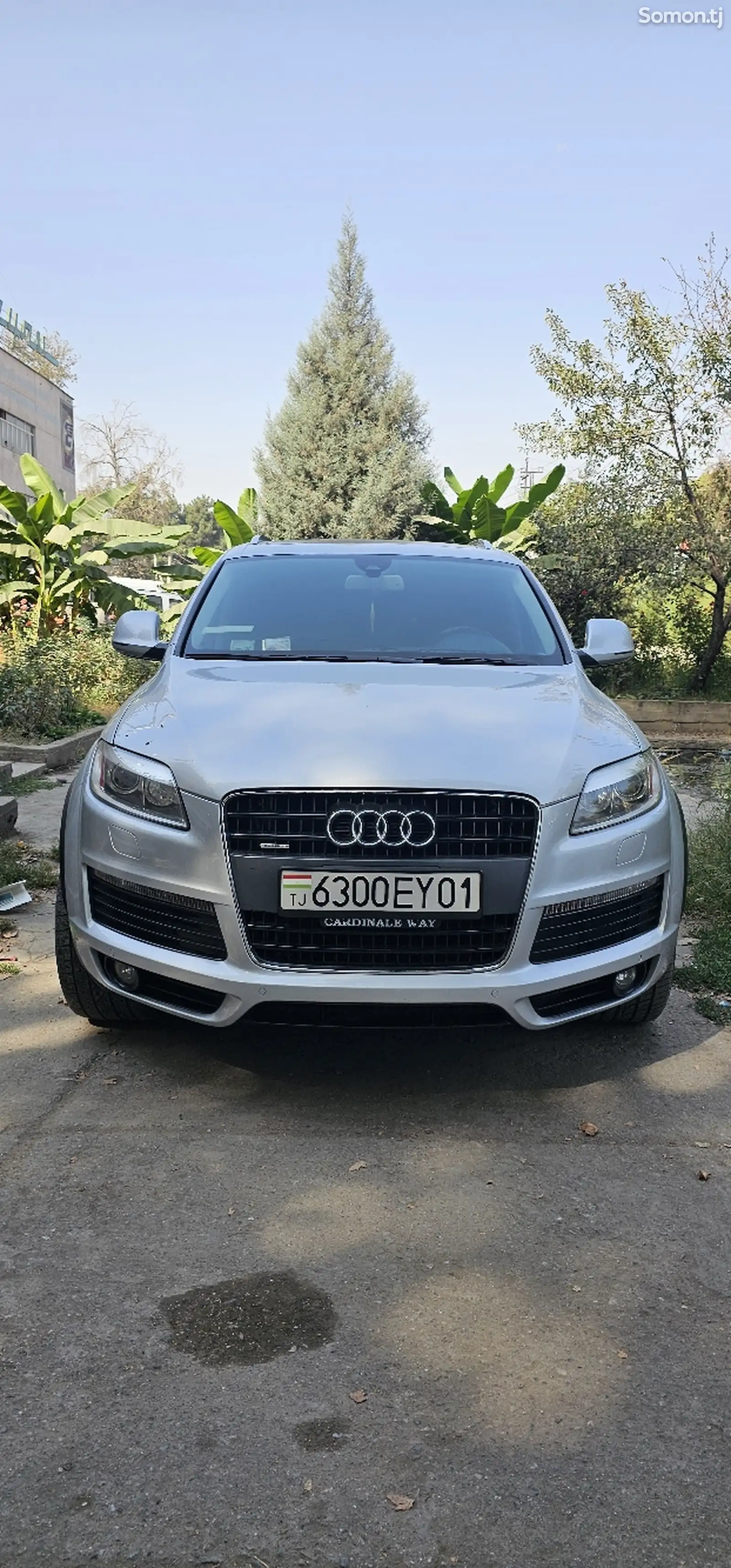 Audi Q7, 2008-1