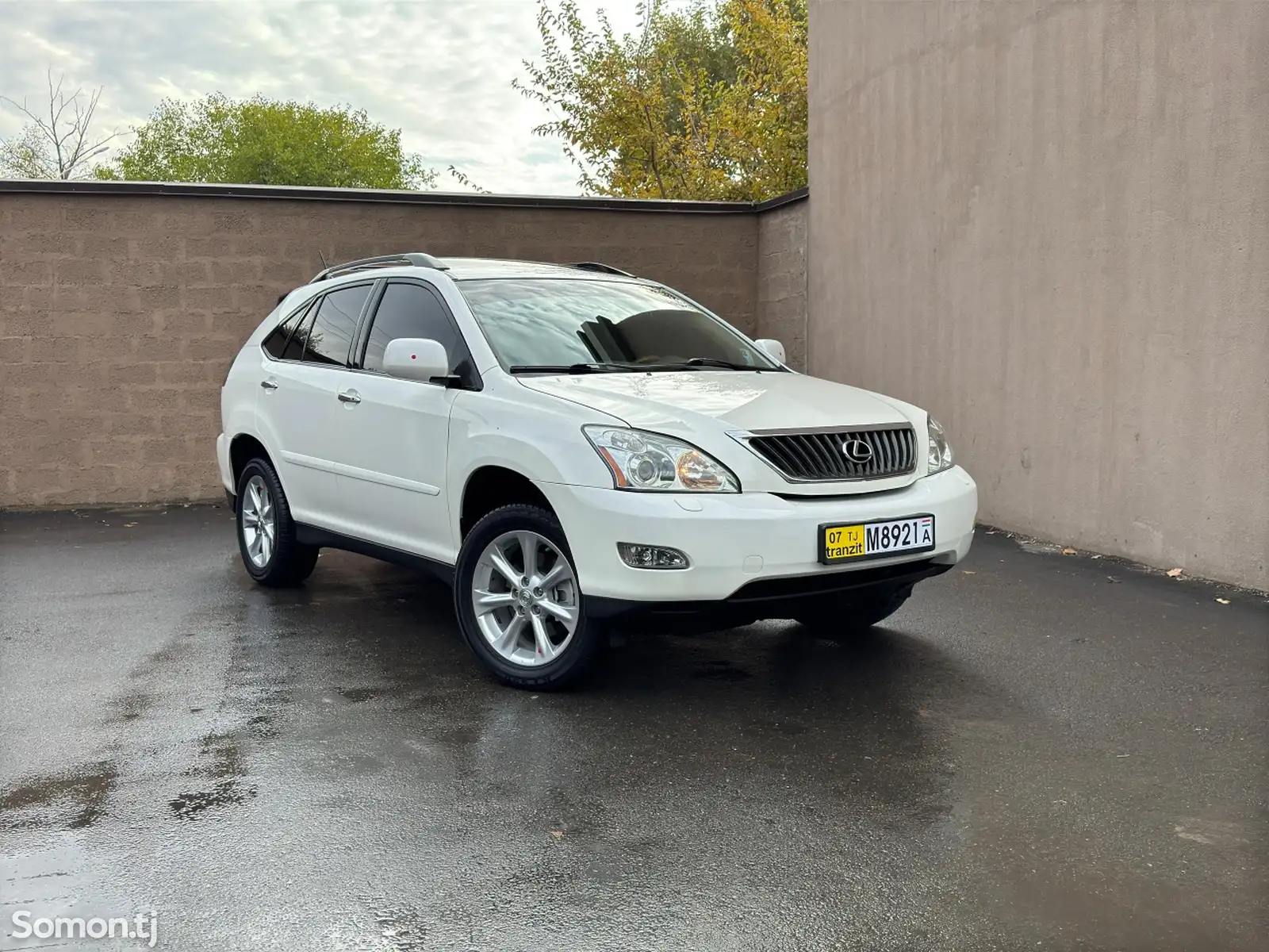 Lexus RX series, 2009-1