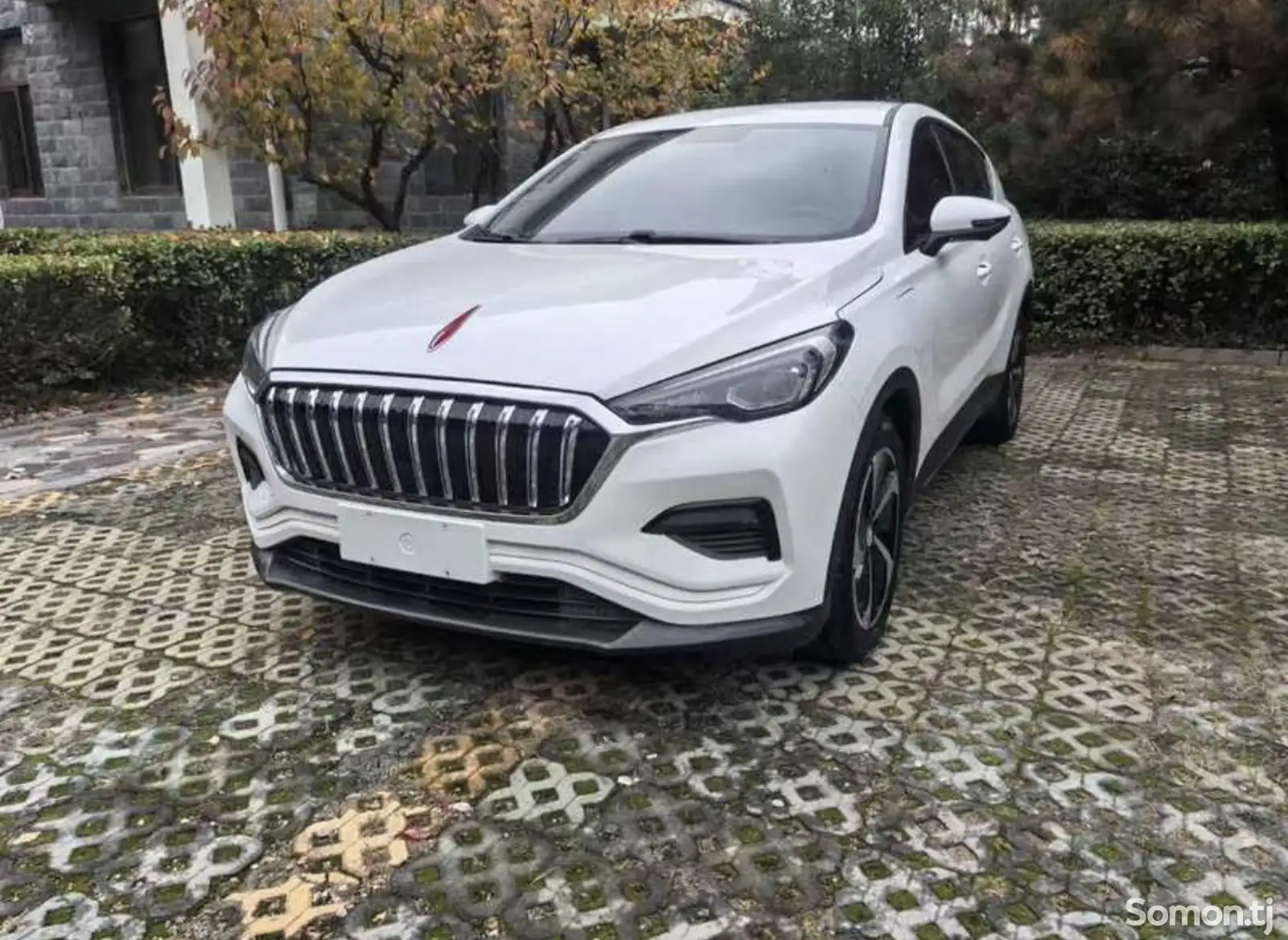 Hongqi E-HS3, 2019-1