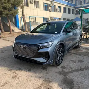 Audi Q4, 2024