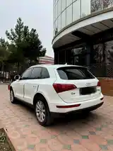 Audi Q5, 2010-3