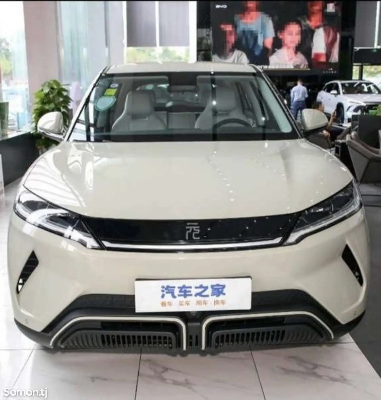 BYD Yuan Up, 2024-1