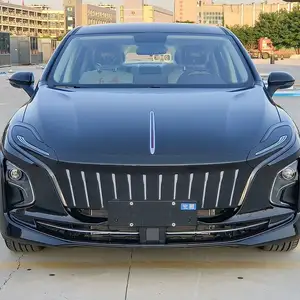 Hongqi E-QM5, 2024