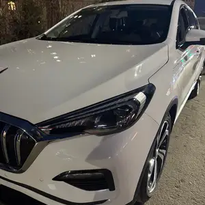 Hongqi E-HS3, 2019