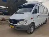 Пассажирский Mercedes Benz Sprinter, 2006-6