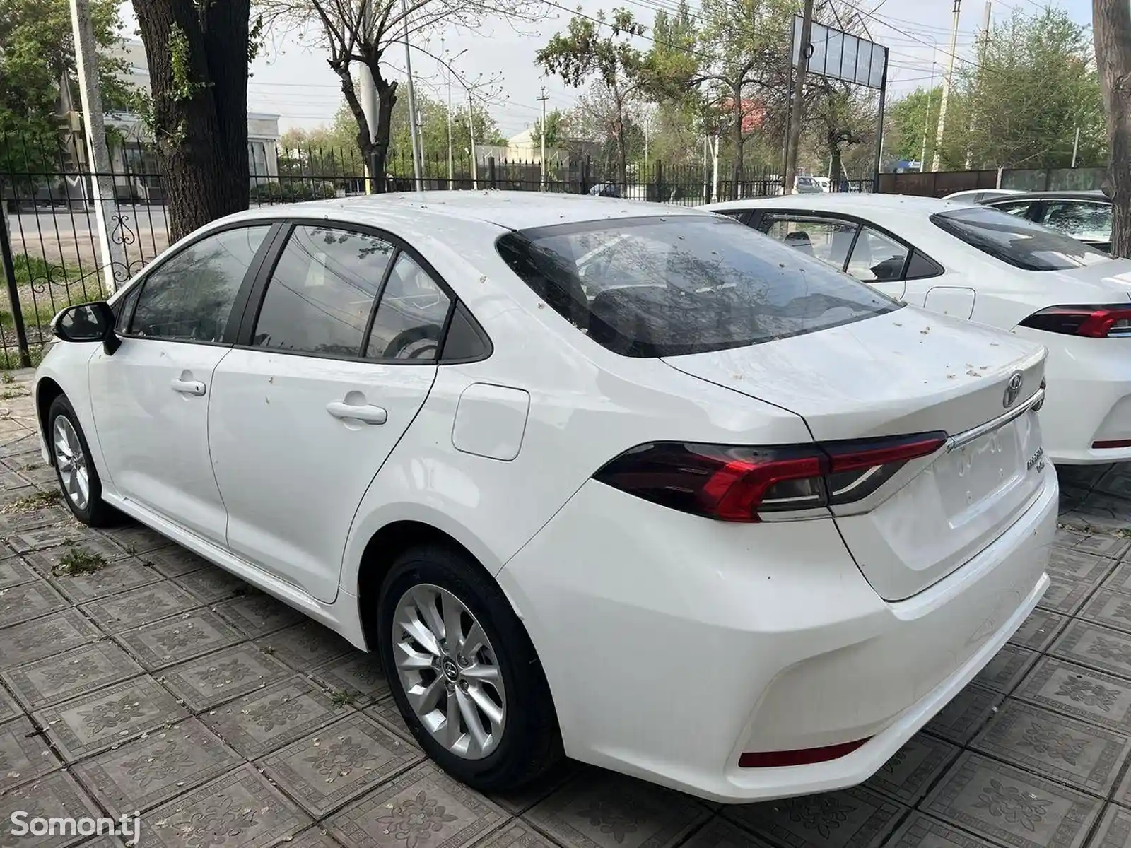 Toyota Corolla, 2023-4